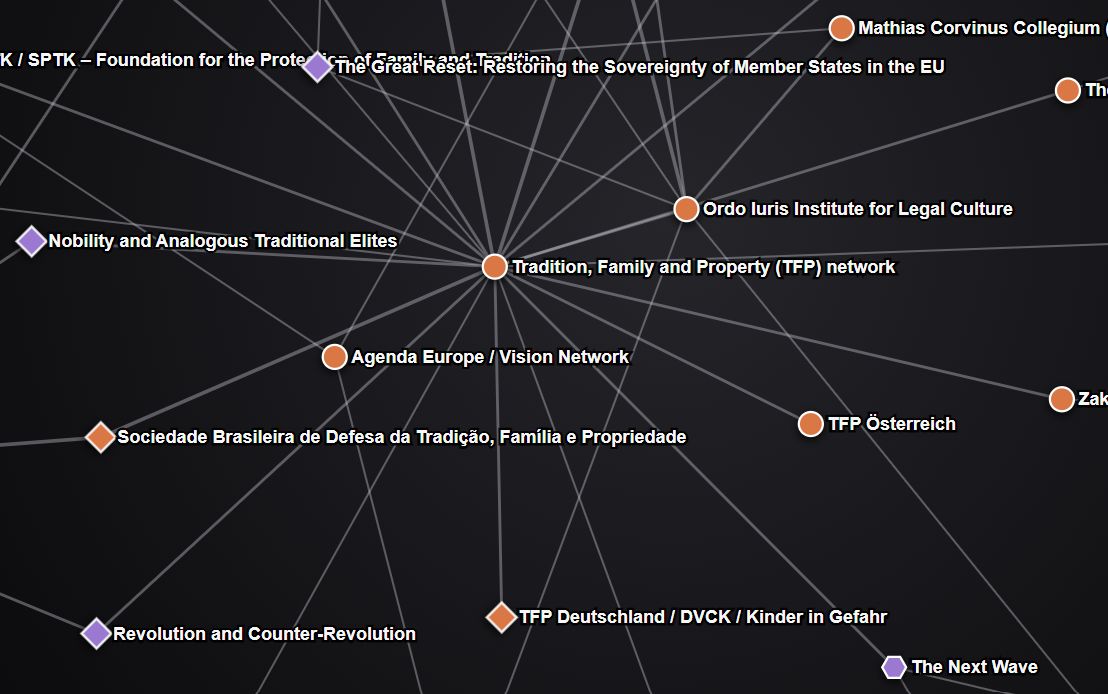 Ausschnitt aus der interaktiven Netzwerkdarstellung zu TFP und The Next Wave