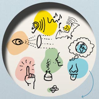 Die Wirklichkeit ist auch nicht wahr